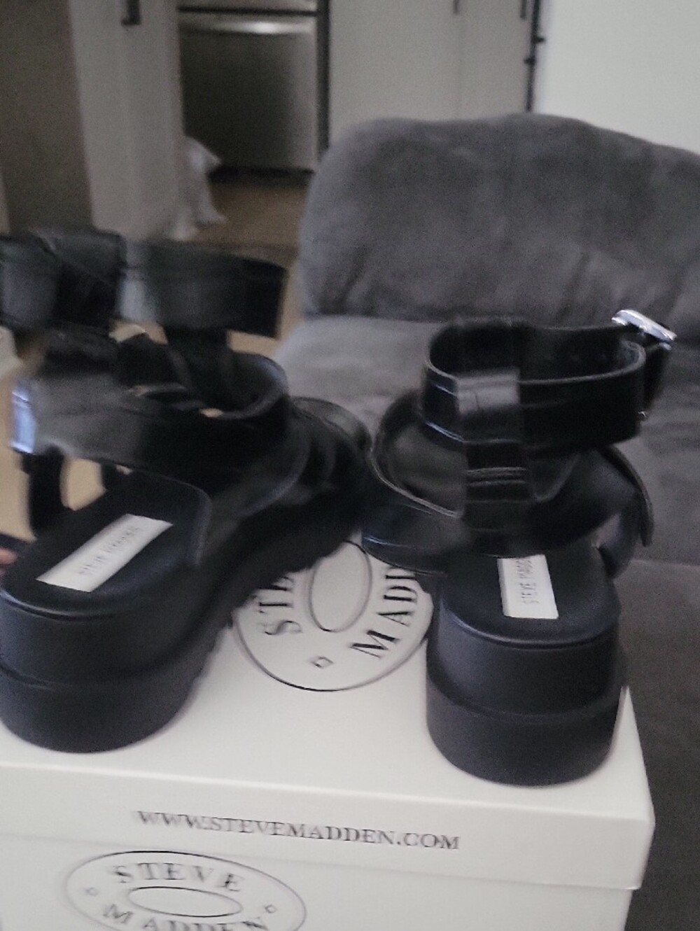 Steve Madden Black Croc-Embossed Strappy Gladiator Sandals - Picture 4 of 6